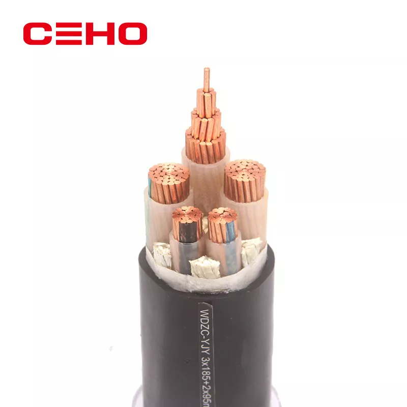 Cable de alimentación de bajo voltaje